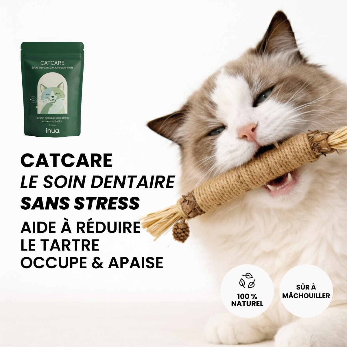 Inua Catcare - le stick dentaire pour un soin sans stress