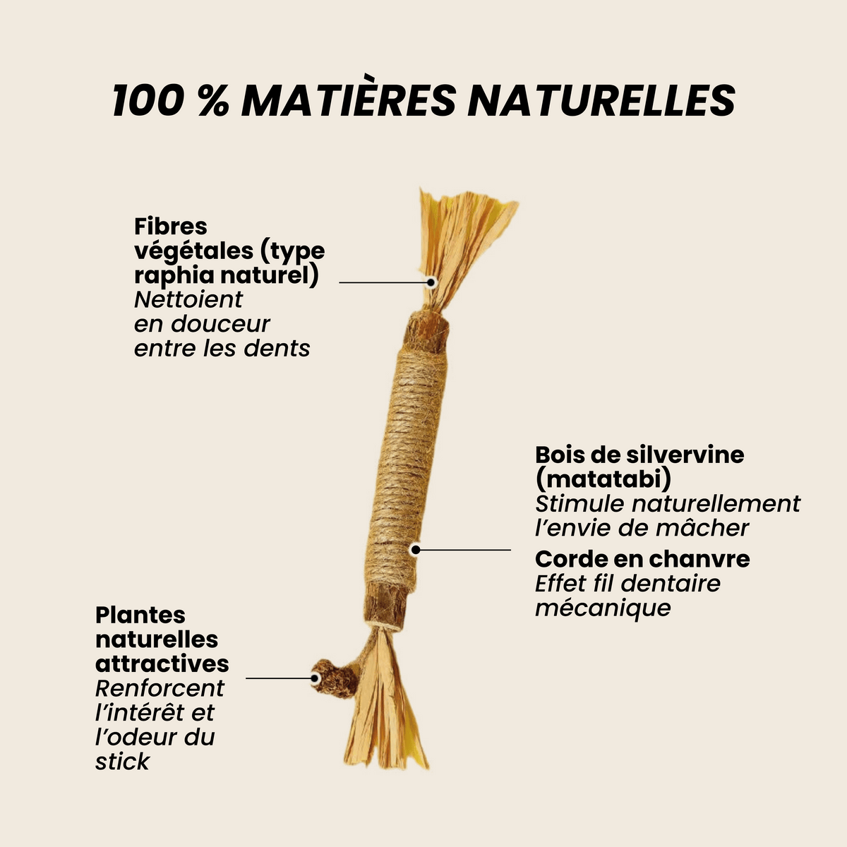 Inua Catcare - le stick dentaire pour un soin sans stress