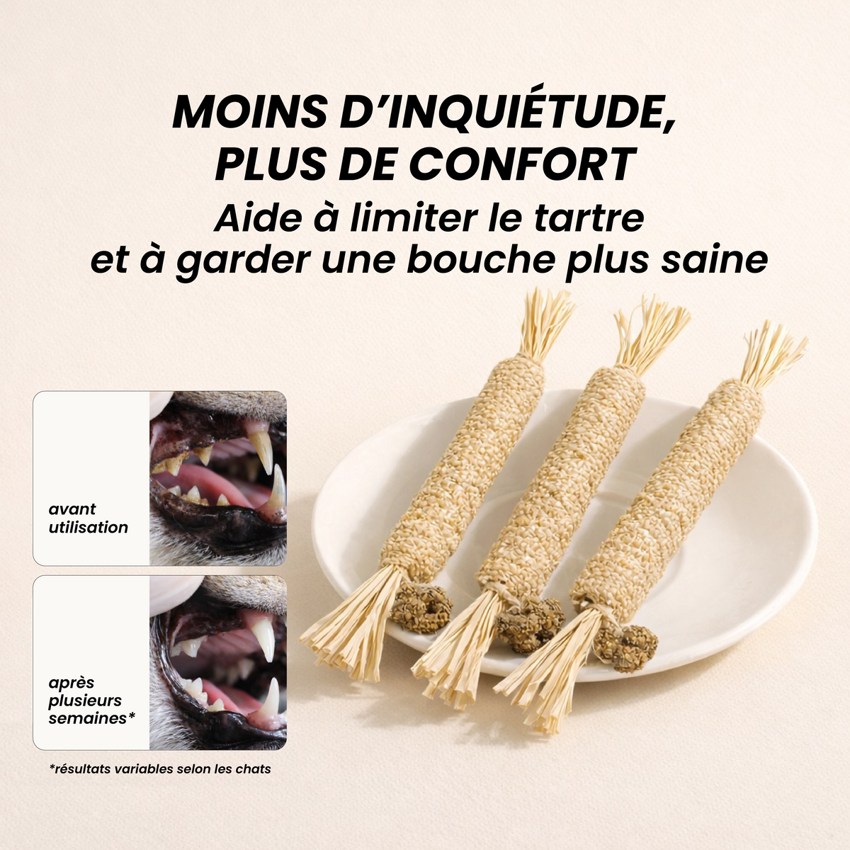 Inua Catcare - le stick dentaire pour un soin sans stress