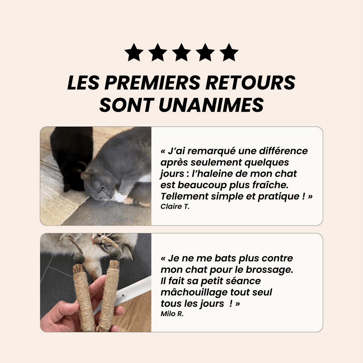 Inua Catcare - le stick dentaire pour un soin sans stress