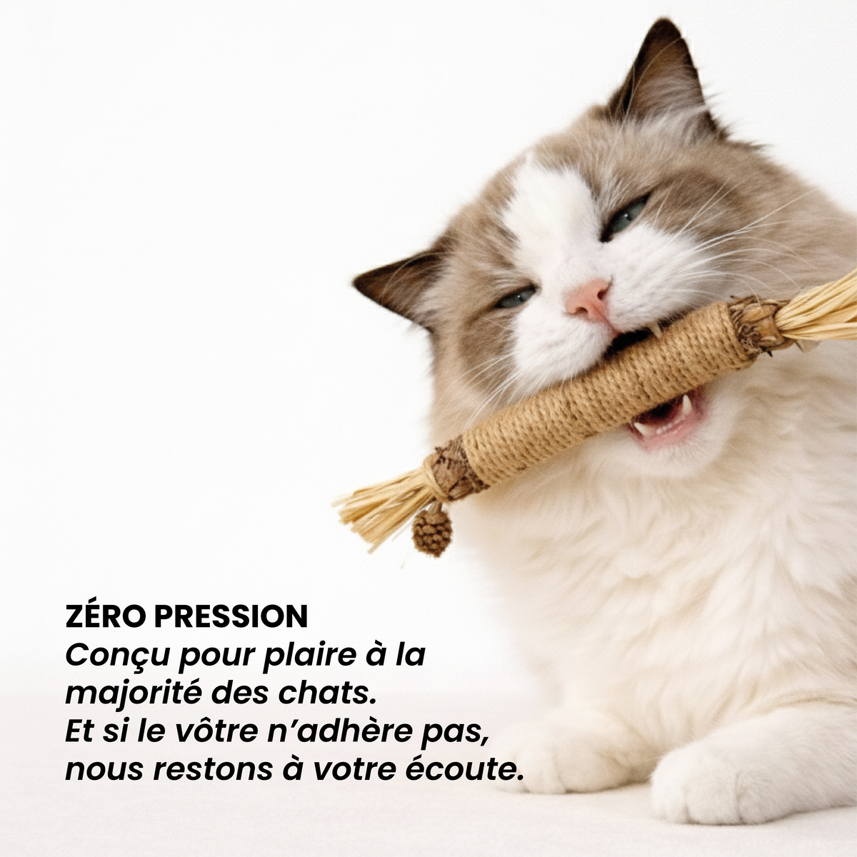 Inua Catcare - le stick dentaire pour un soin sans stress