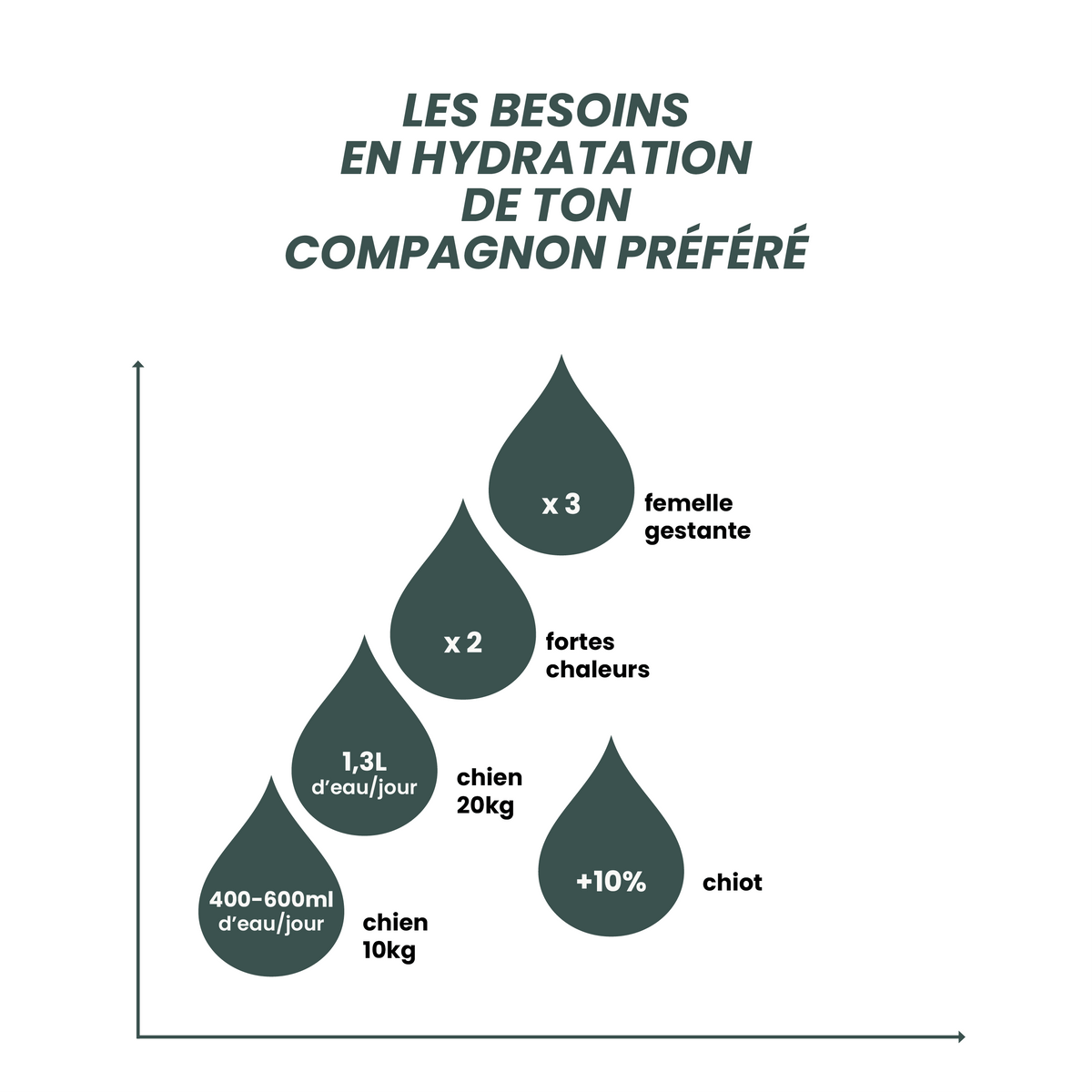 Gourde 3-en-1 Inua Flow