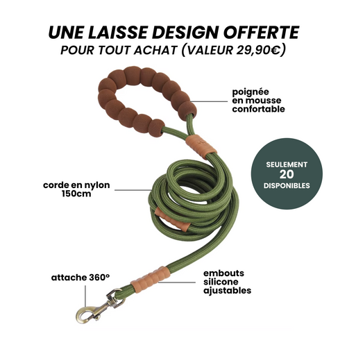 Laisse Inua design